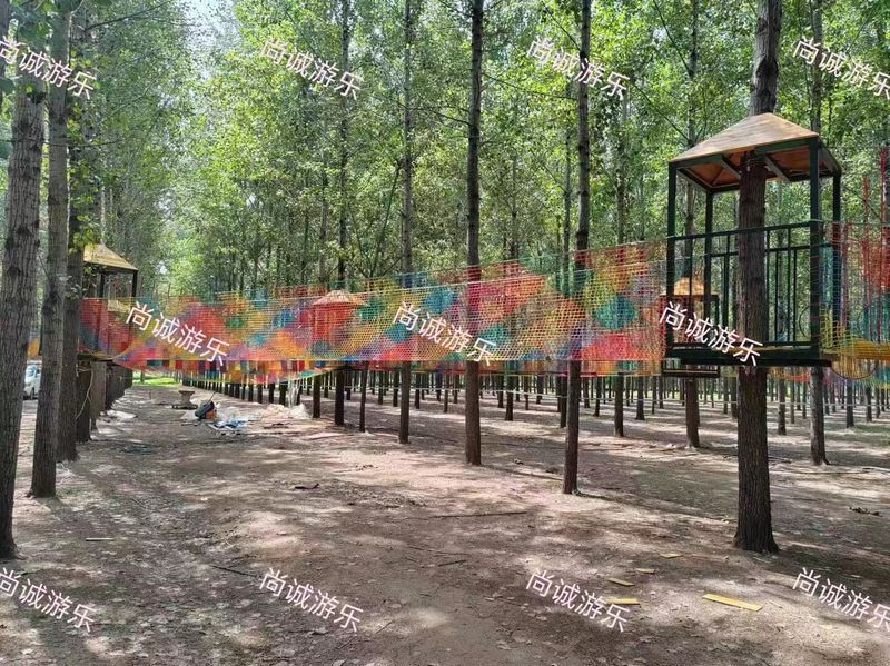 山东东明森林公园  丛林穿越